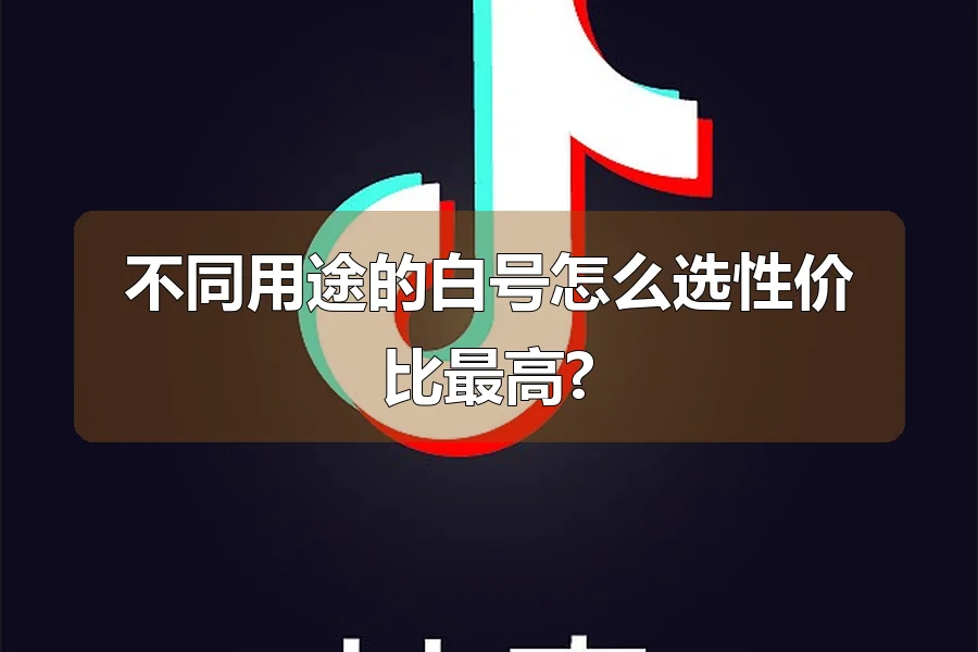 不同用途的白号怎么选性价比最高?